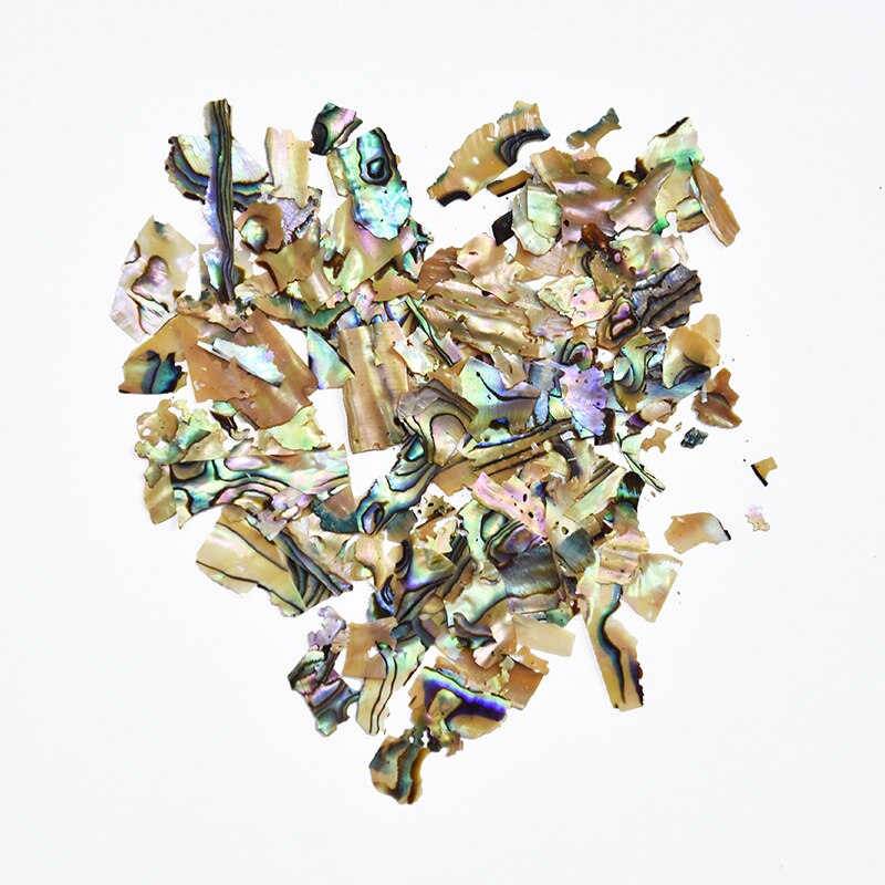 5g Irregular Abalone Shell MULTI COLOUR Jewellery and Craft